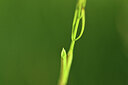 BUITEN BEELD Foto: 428434