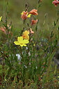 BUITEN BEELD Foto: 428464