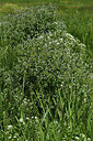 BUITEN BEELD Foto: 428670