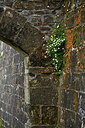 BUITEN BEELD Foto: 428810