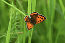 BUITEN BEELD Foto: 428911