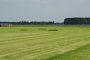 BUITEN BEELD Foto: 42011
