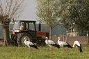 BUITEN BEELD Foto: 42039