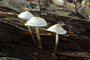 BUITEN BEELD Foto: 42200