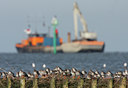BUITEN BEELD Foto: 42207