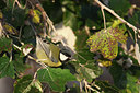 BUITEN BEELD Foto: 42209