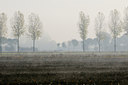 BUITEN BEELD Foto: 42271