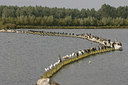 BUITEN BEELD Foto: 42342