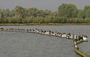 BUITEN BEELD Foto: 42343