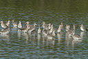 BUITEN BEELD Foto: 42413