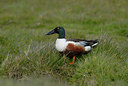 BUITEN BEELD Foto: 42417