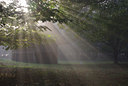 BUITEN BEELD Foto: 42449