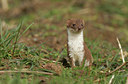 BUITEN BEELD Foto: 42473