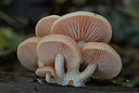 BUITEN BEELD Foto: 42492