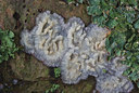 BUITEN BEELD Foto: 42506