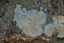 BUITEN BEELD Foto: 42507