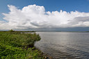 BUITEN BEELD Foto: 42619