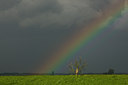 BUITEN BEELD Foto: 42629