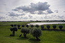 BUITEN BEELD Foto: 42635