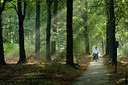 BUITEN BEELD Foto: 42646