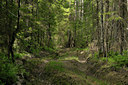 BUITEN BEELD Foto: 42701