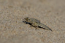BUITEN BEELD Foto: 42704