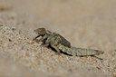 BUITEN BEELD Foto: 42705