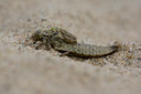BUITEN BEELD Foto: 42706