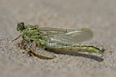 BUITEN BEELD Foto: 42715