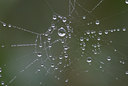 BUITEN BEELD Foto: 42721