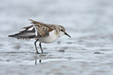 BUITEN BEELD Foto: 42727