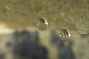 BUITEN BEELD Foto: 42729