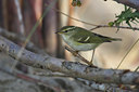 BUITEN BEELD Foto: 42747