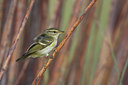 BUITEN BEELD Foto: 42748
