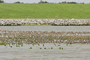 BUITEN BEELD Foto: 42763