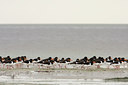 BUITEN BEELD Foto: 42792