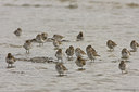 BUITEN BEELD Foto: 42793