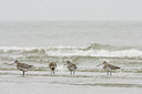 BUITEN BEELD Foto: 42798