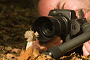 BUITEN BEELD Foto: 42802