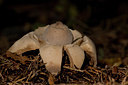 BUITEN BEELD Foto: 42826