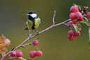 BUITEN BEELD Foto: 42830