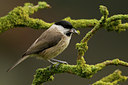 BUITEN BEELD Foto: 42835