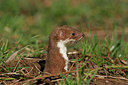 BUITEN BEELD Foto: 42887