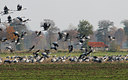 BUITEN BEELD Foto: 42927