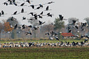 BUITEN BEELD Foto: 42928
