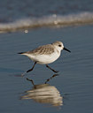 BUITEN BEELD Foto: 42943