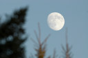 BUITEN BEELD Foto: 42948