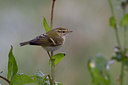BUITEN BEELD Foto: 42951