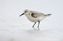 BUITEN BEELD Foto: 42953