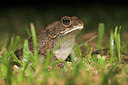 BUITEN BEELD Foto: 42963